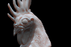 Rooster_by_JVTrappedInFlesh